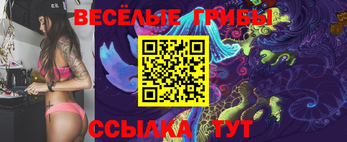 Псилоцибиновые грибы GOLDEN TEACHER Чехов