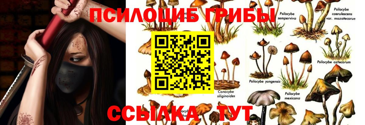 Псилоцибиновые грибы Psilocybe  Вход с VPN  Чехов  Галлюциногенные грибы GOLDEN TEACHER 